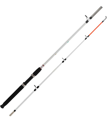 Berkley Big Game Spinning Fishing Rod