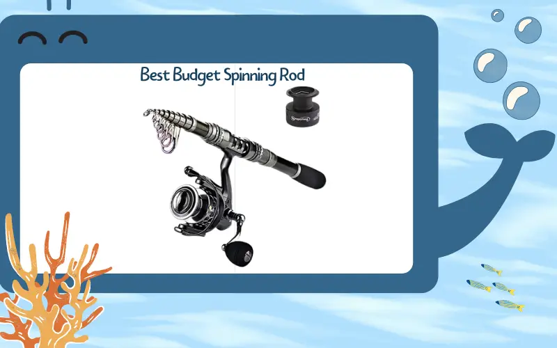 Best Budget Spinning Rod