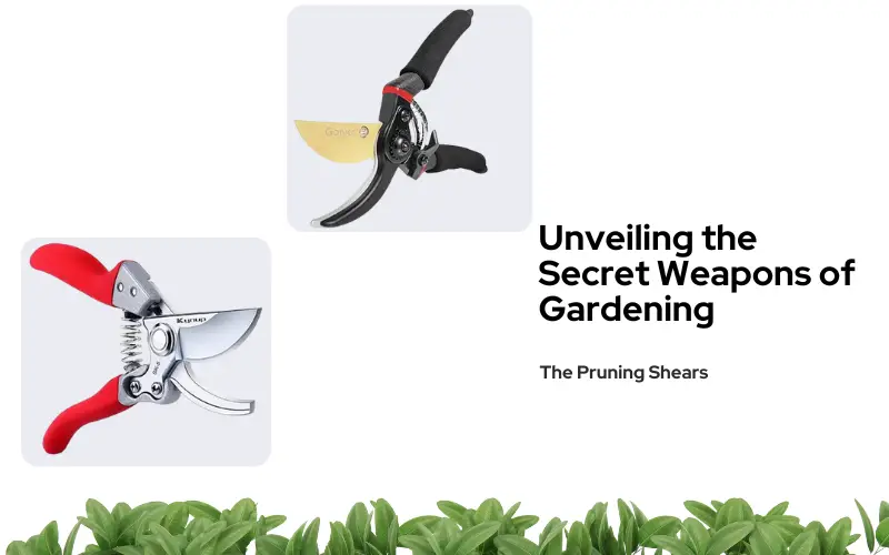 Unveiling the Secret Weapons of Gardening, “The Pruning Shears”