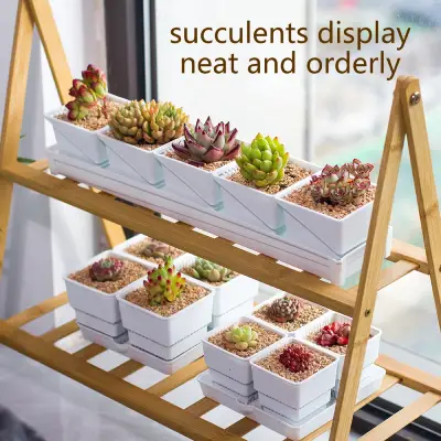 Meshpot 2 3 4 Inches Square Plastic Succulents Planter Pots With Tray Set